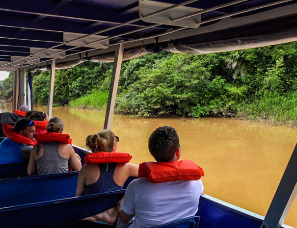 caño negro tour background image