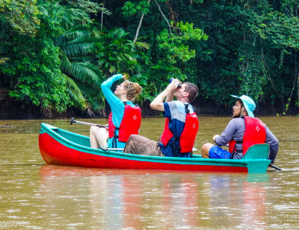 canoe on river image