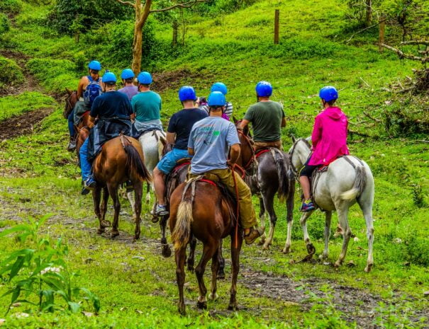 group of tourists riding horses