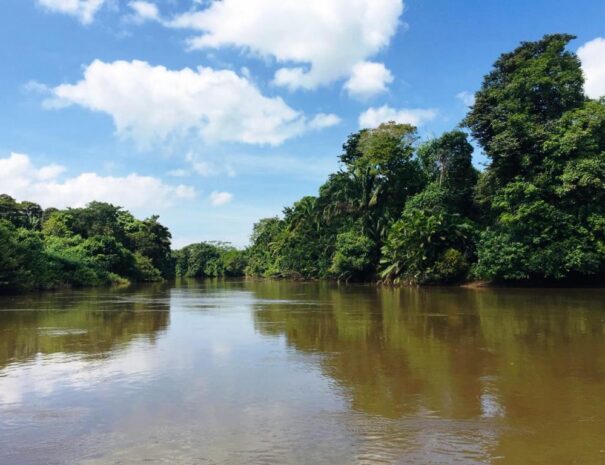 view of cano negro river