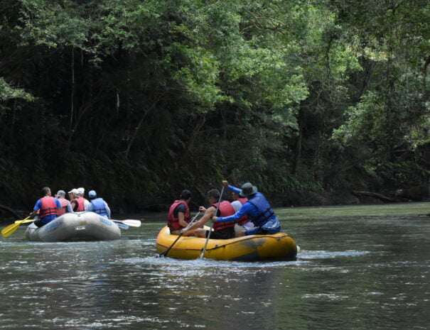 safari float tour background image