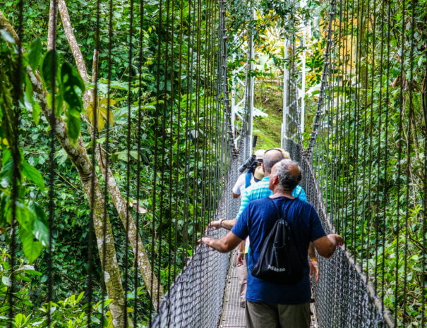 people walking on a hanging bridge