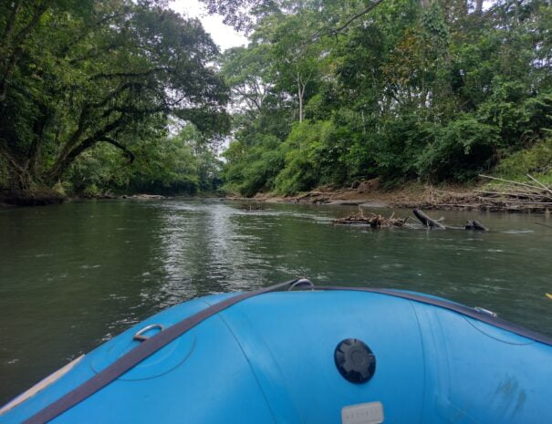 safari raft on river image