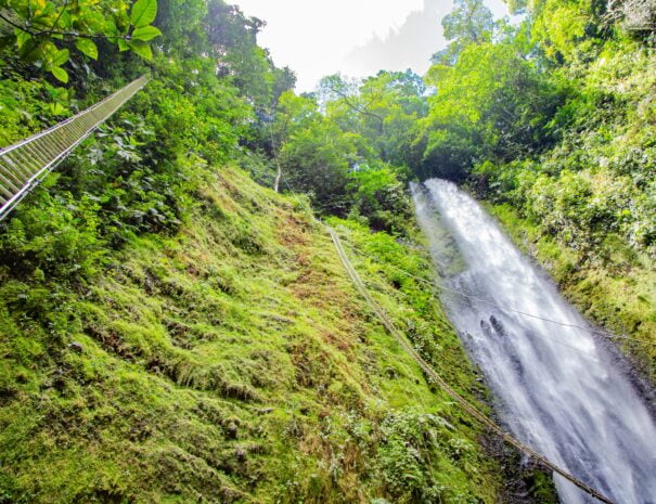 view from bottom to top of waterfall