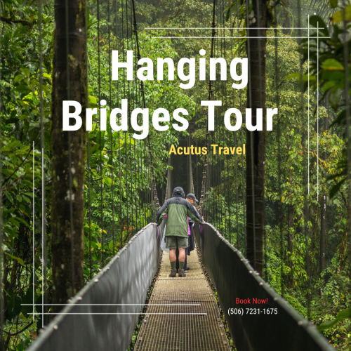 Hanging Bridges Tours2